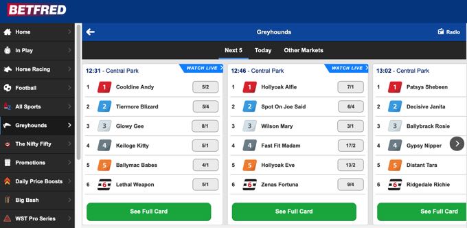 Betfred greyhound racing screenshot
