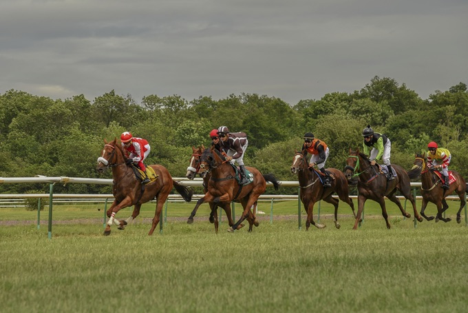 Handicap race in Germany