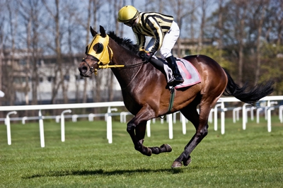 Jockey & horse flat racing