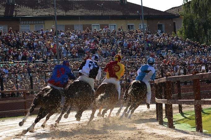 Horses racing