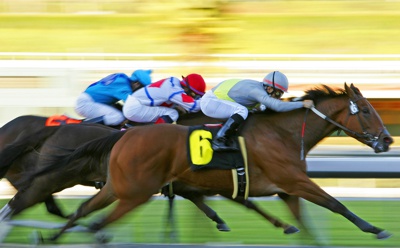 Horse Racing Blurred