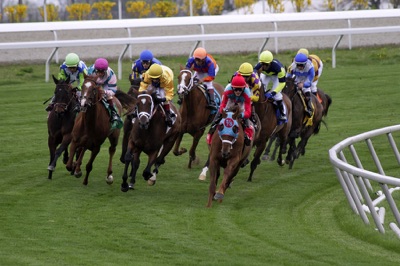 Horses racing around a bend