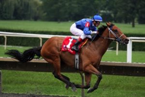 Horse Racing Grades & Classifications - BestBettingSitesUK.com